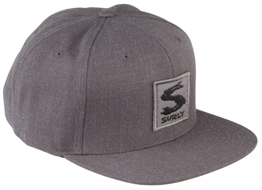 Gray Area Snap Back Hat