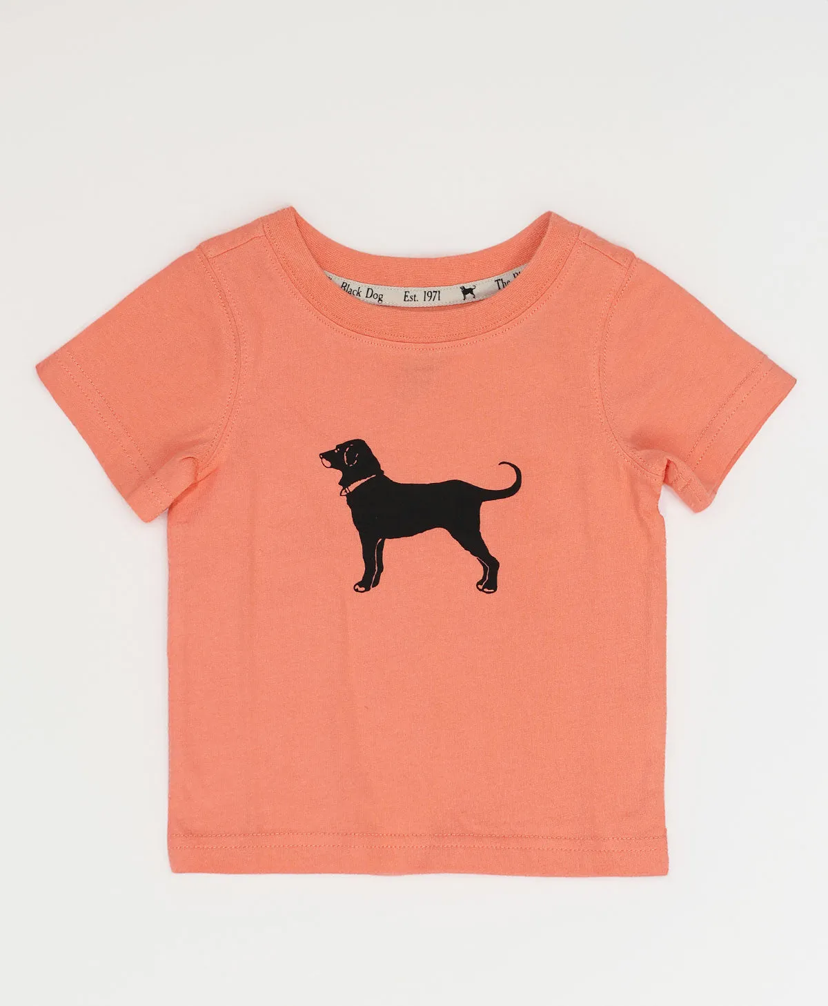 Lil Kids Martha's Vineyard 2024 Classic Tee