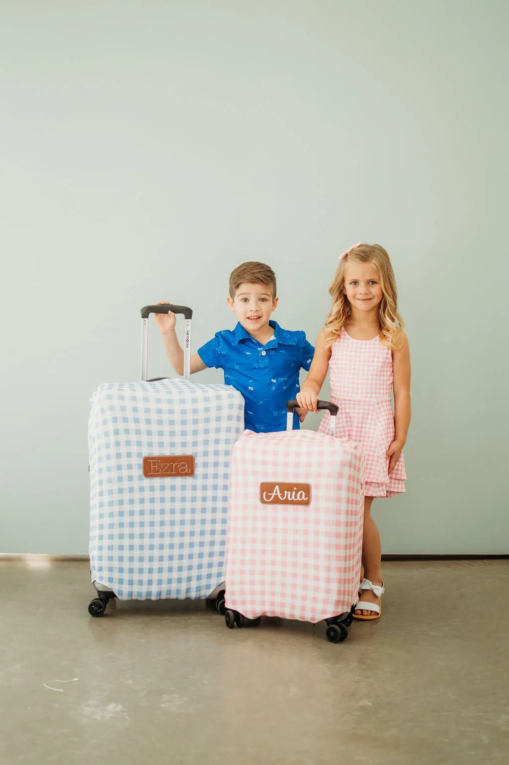 Luggage Cover - Pink Gingham