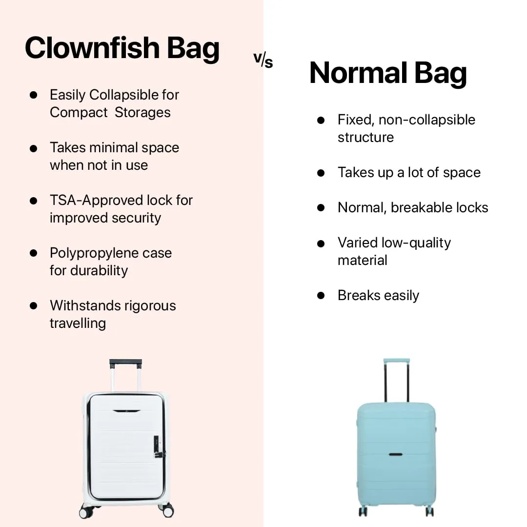 THE CLOWNFISH Collapsible Series Luggage Polypropylene Hard Case Suitcase Spinner Eight Wheel Foldable Trolley Bag With Tsa Lock- White (Small Size, 51 Cm-20 Inch), H-56 Centimeters